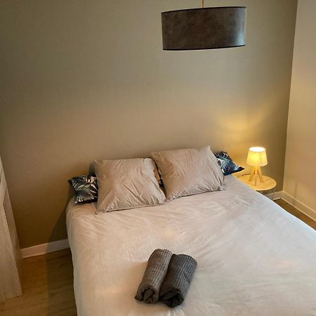 Appartement Cosy Сен-Себастьян-Сюр-Луар Экстерьер фото